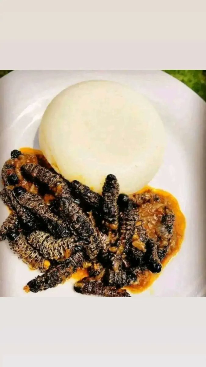 Munaka_Wamani's tweet photo. 📍: Pretoria East "Silverton" 
🚚:Nationwide courier 
📞:0727624228 /0815724879
#Vendatwitter #VhuvhambadziDrive #DjSbu #MopaniWorms #GirlTalkZA #InCaseYouMissedIt #DrNandiphaMagudumana #SenzoMeyiwatrial #ThaboBester #Mohale #Tsonga #ForeverThina https://t.co/6AgS4QPzDj