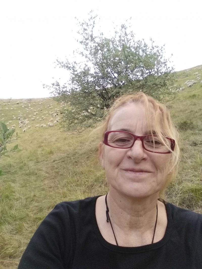 « L'élevage ovin n'a pas à rougir en matière de durabilité » dlvr.it/Svx69t