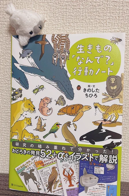 欲しかった本届いたから、今から読むぞ〜🙌