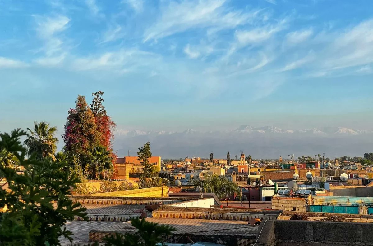 Monaco Life tweet media