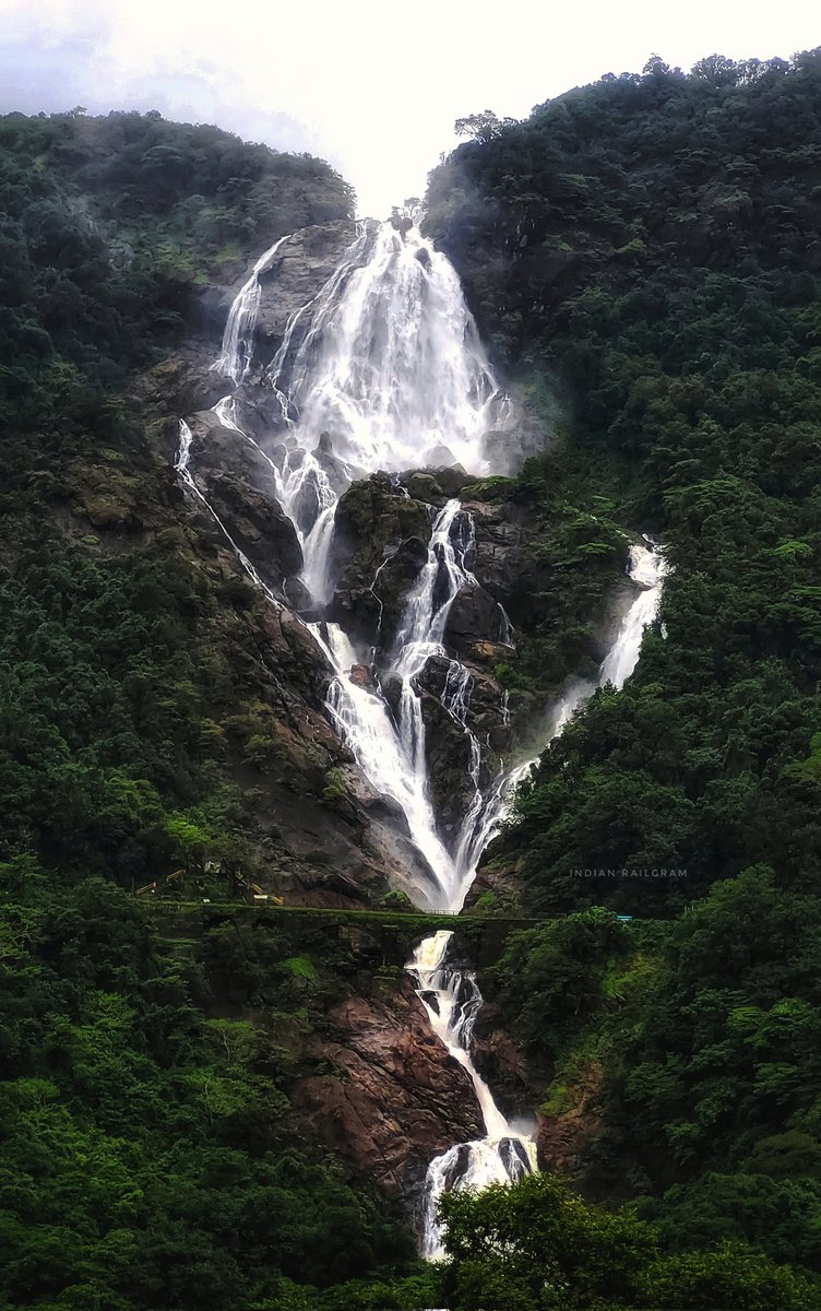 Dudhsagar Waterfalls 🤩 #dudhsagarwaterfall #dudhsagarwaterfalls #indianrailways <a href="/SWRRLY/">South Western Railway</a> <a href="/TourismGoa/">Goa Tourism</a> <a href="/incredibleindia/">Incredible!ndia</a> <a href="/RailMinIndia/">Ministry of Railways</a> <a href="/AshwiniVaishnaw/">Ashwini Vaishnaw</a>