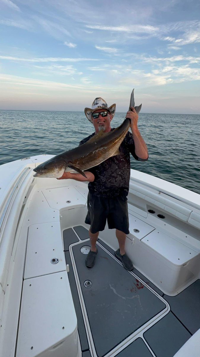 ItsAHolyCow's tweet photo. Kicked of Saturday with a nice Cobia! https://t.co/UheTZSTXOS