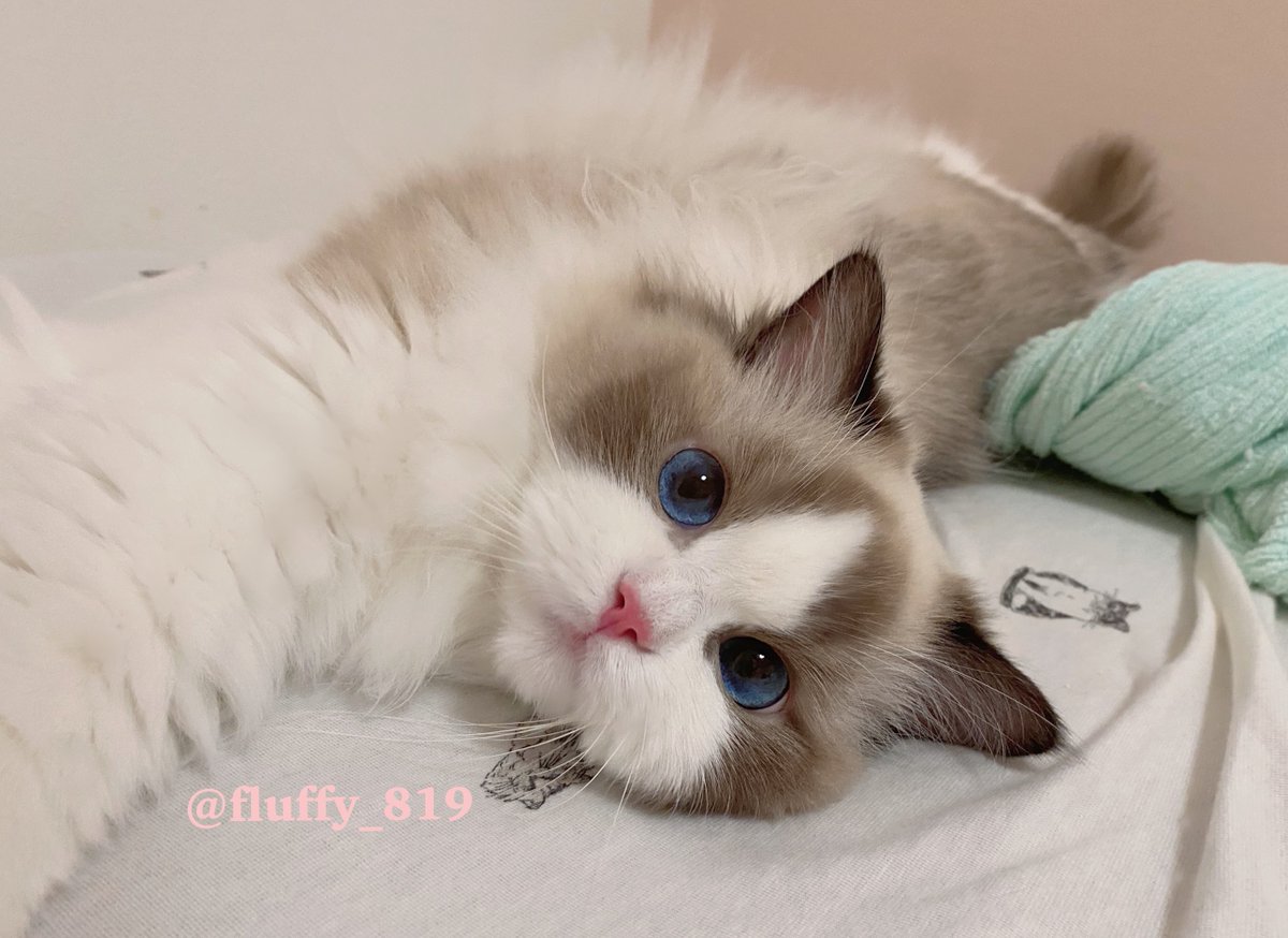 いっしょにねる？