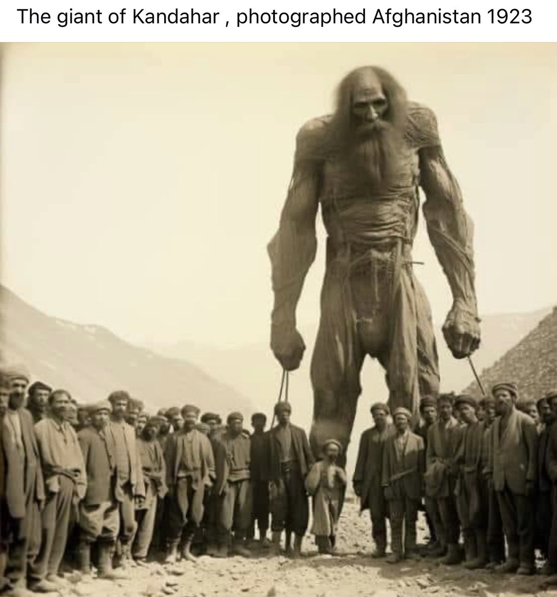 NullAgent1's tweet image. 