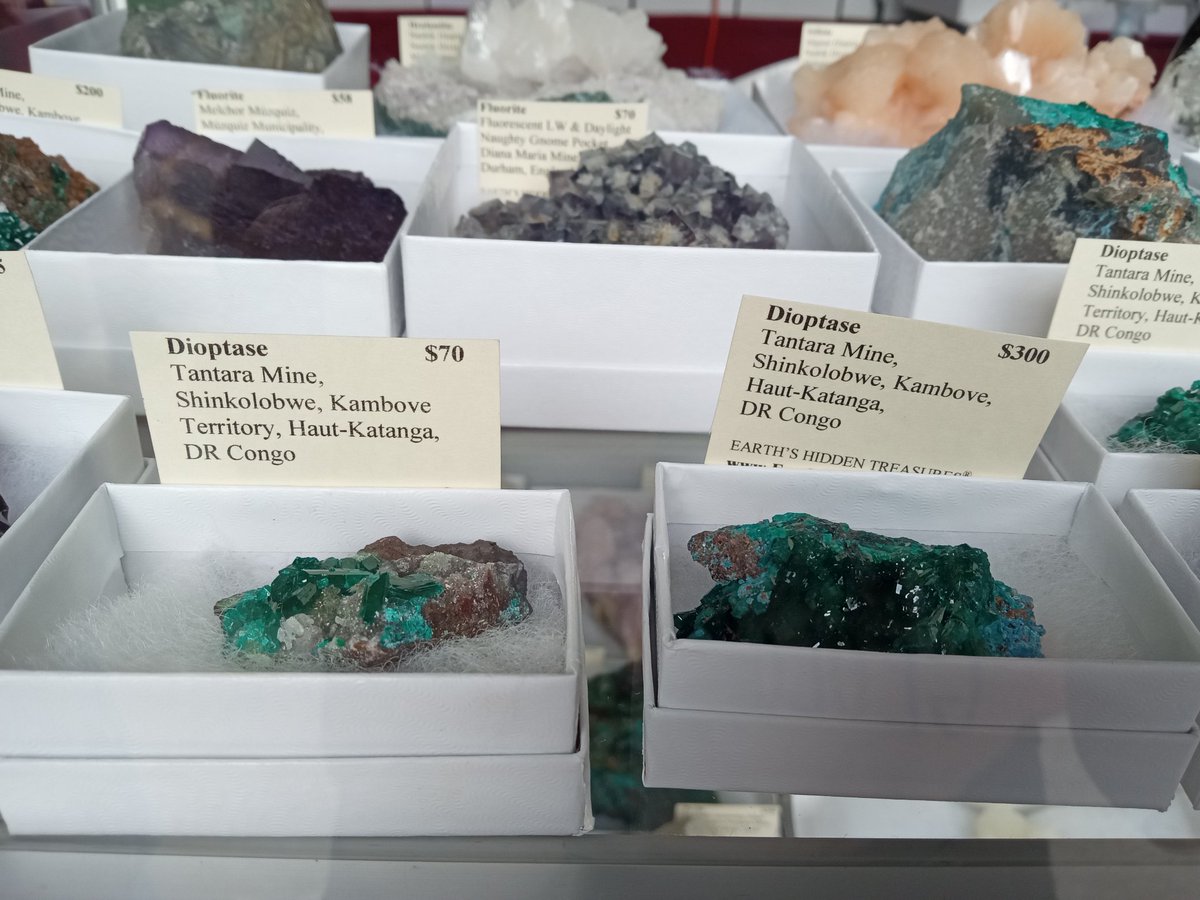 Tingting Gu (@tingtingphd) on Twitter photo We made it! Glad to attend the 46th annual Gem, mineral, and fossil show in Indy with EAPS students on Saturday! We found adamite and dioptase listed in <a href="/MineralCup/">Mineral Cup #MinCup</a>, and again the gorgeous opalized fossil from Coober Pedy mine in Australia. Go, Team #opal ! We made it! Glad to attend the 46th annual Gem, mineral, and fossil show in Indy with EAPS students on Saturday! We found adamite and dioptase listed in <a href="/MineralCup/">Mineral Cup #MinCup</a>, and again the gorgeous opalized fossil from Coober Pedy mine in Australia. Go, Team #opal !