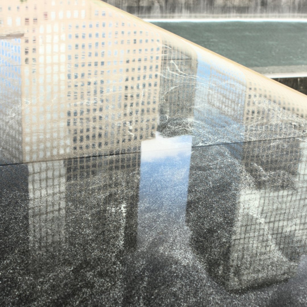 pam_deaton's tweet photo. Remembering the souls we lost on 9/11. In our hearts forever, united in love and resilience. 🕊❤️ #NeverForget https://t.co/5GopYQi4Qd