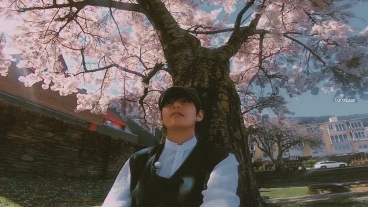 GELB0YS's tweet photo. — four seasons with kim taehyung https://t.co/10ERruArR4