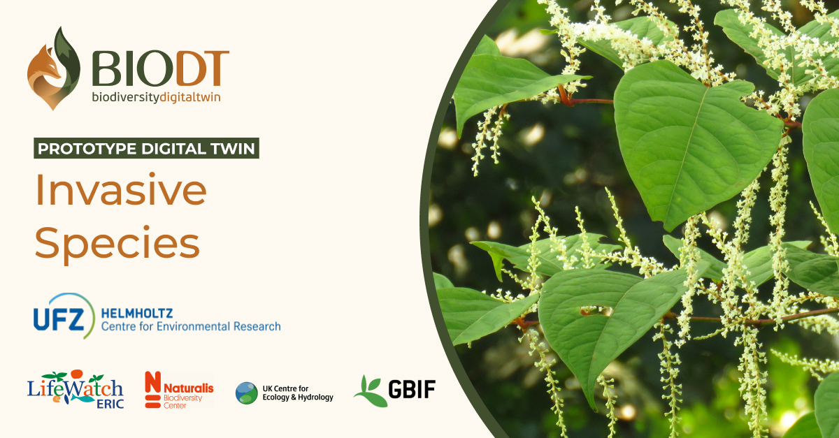 Discover the #BioDT Prototype #DigitalTwin for #InvasiveAlienSpecies.
Joint species distribution modelling to predict invasion levels.
Precise, habitat-specific projections for invasions.
Informed decisions for #EnvironmentalManagement & policy-making.
bit.ly/45GM4R8