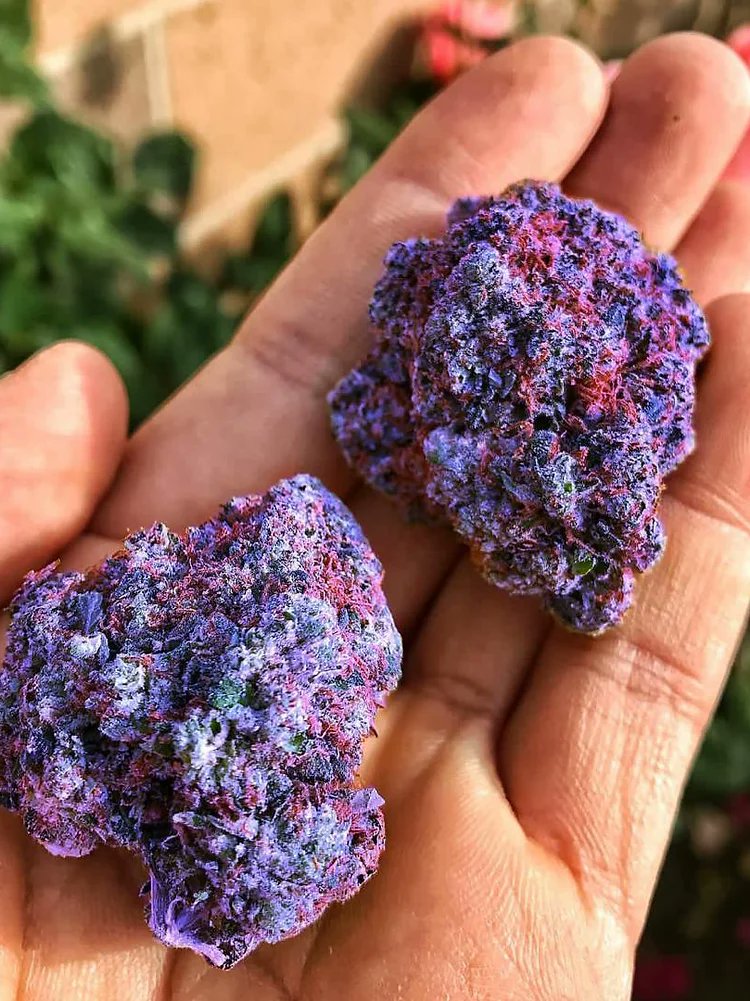 Are these real or photoshopped ?