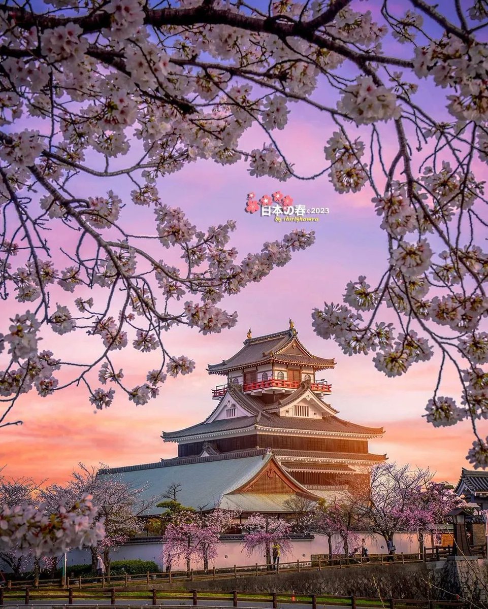 ecofused's tweet photo. 📸 @shirlyhamra
🏯 Step into history at Kiyosu Castle! 🇯🇵 This ancient fortress exudes timeless charm and rich heritage. A must-visit for history buffs and architecture enthusiasts alike! 🌸 
#KiyosuCastle
#JapaneseHistory
#CastleExploration
#SamuraiHeritage
#HistoricJapan https://t.co/vxHvpvQ40S