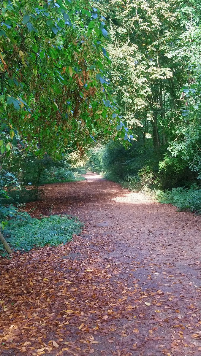 LizzieDM85's tweet image. Feels good to be back in the office today
#outsideoffice
#explore
#naturetots