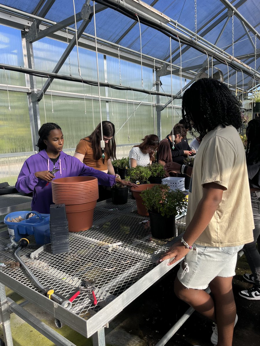 Horticulture 1 students hard at work to get ready for fall plant sale!