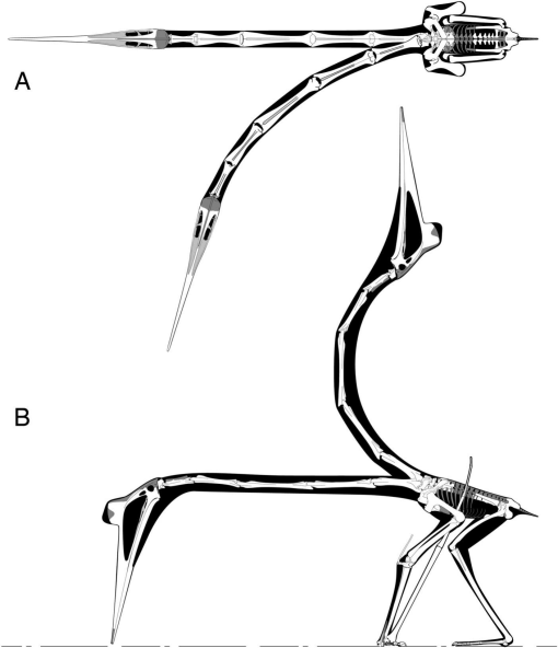 Scientific diagrams that look like shitpots: Quetzalcoatlus Headbanging