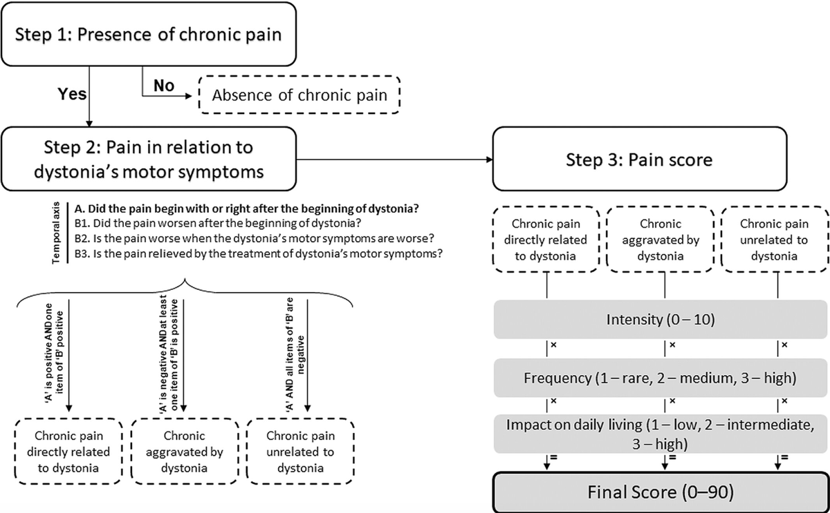 movedisorder's tweet photo. A recent study created a chronic pain classification system called the Dystonia-PCS, which is based on the three main steps of pain assessment. The Dystonia-PCS had adequate internal consistency and excellent intra- and inter-rater reliability. https://t.co/QDFT6kdcNr https://t.co/tKHLFAxgvO