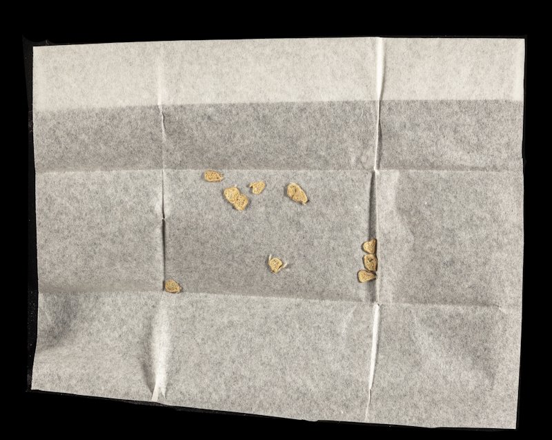 royalsociety's tweet photo. Ahead of this week's conference, Royal Society Digital Resources Manager Louisiane Ferlier has taken a look at how some of Leeuwenhoek's original specimens have been photographed for our #ScienceInTheMaking platform. Read more on our blog:  https://t.co/vF4y6qkmsz https://t.co/AFtHU5cxct