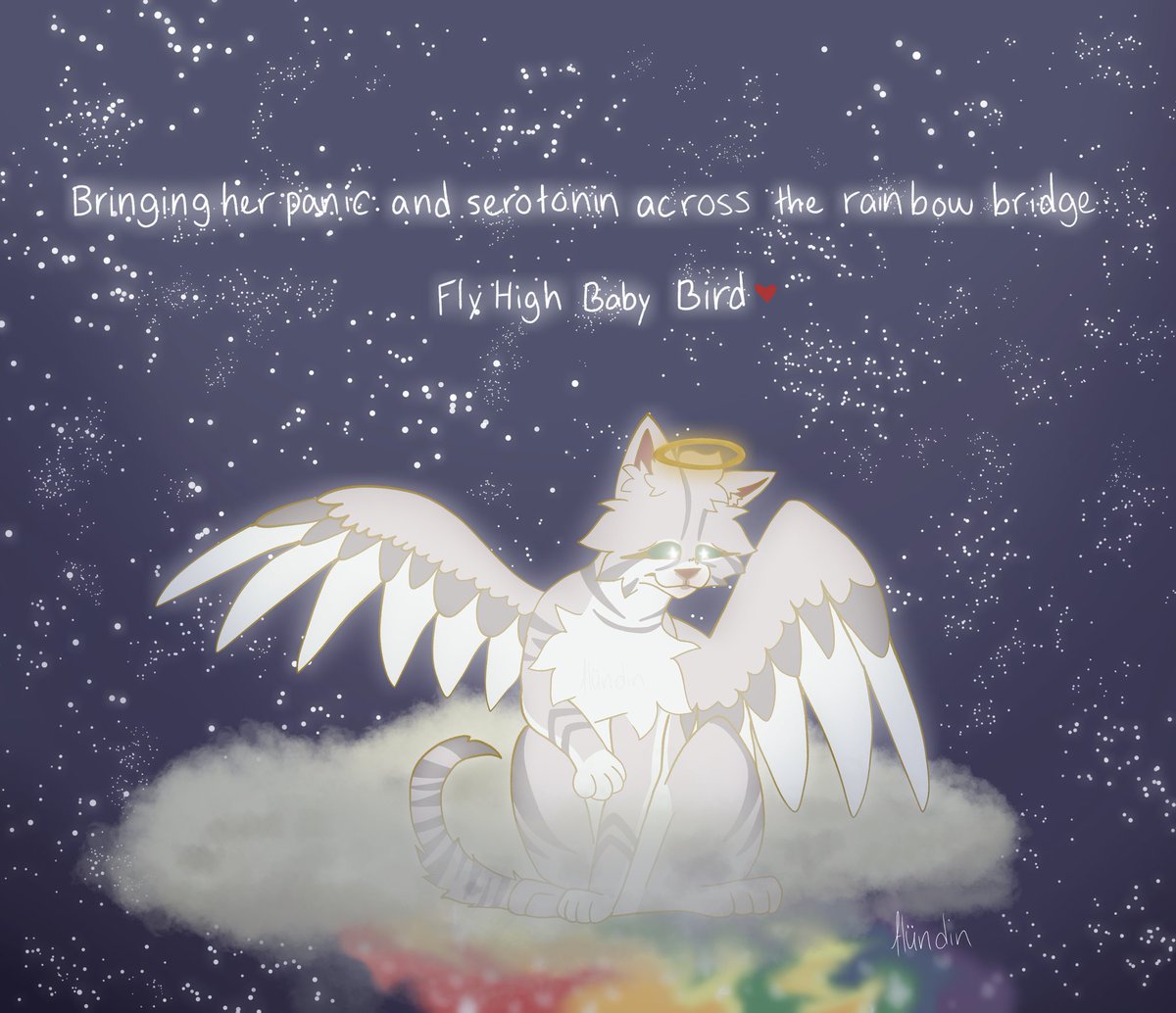 hundincreations's tweet photo. I have cried 3 separate times since it happened. I'm so sad that Baby Bird is gone. She will be missed and was definitely loved by many. Fly High Baby Bird ❤

#Bird #Baby #BabyBird #Goodbye #Loss #Grief #Fly #FlightHigh #RIP #FlyHighBabyBird https://t.co/rAugwWRoim