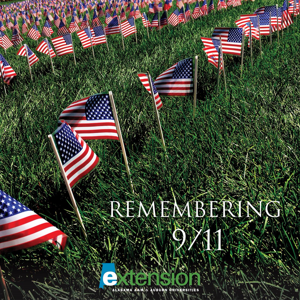 Remembering 9/11

Today, we pause to honor the lives lost, the heroes who emerged, and the resilience of a nation. Let us never forget the events of September 11, 2001, and the unity that followed.

Together, we stand strong.