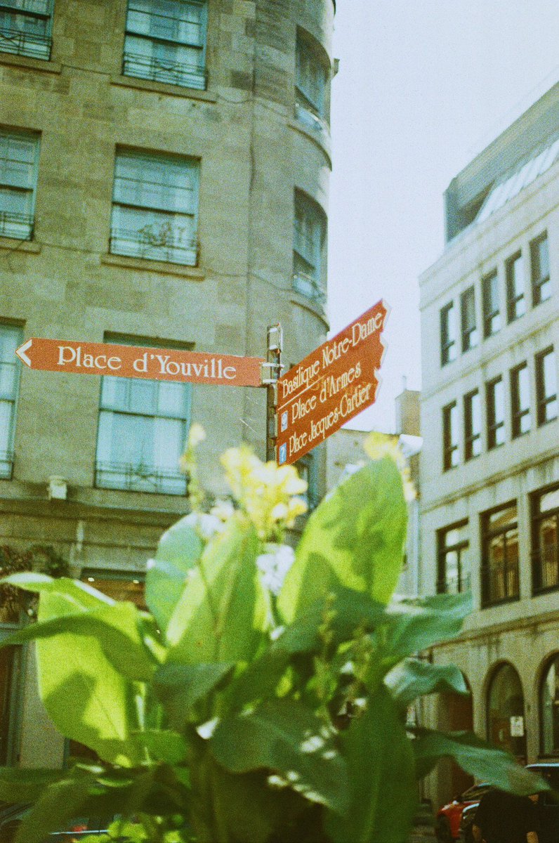 some photos i took on film