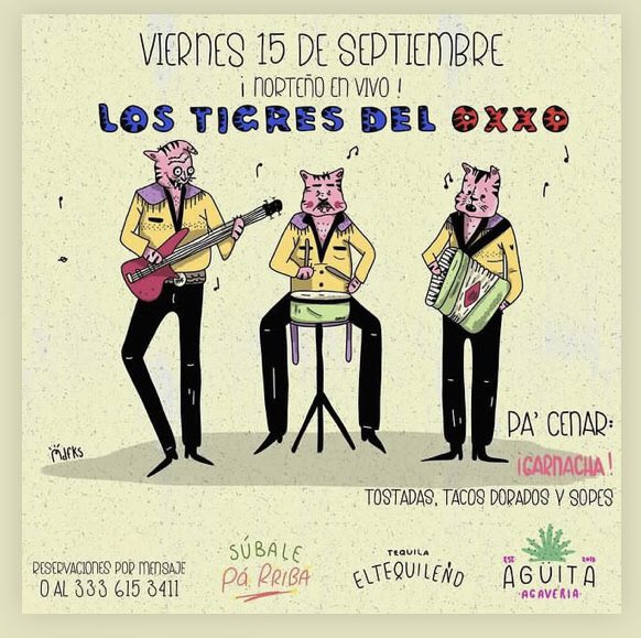 LOS TIGRES DEL OXXO en <a href="/AguitaMezcal/">AGÜITA</a> 🪗