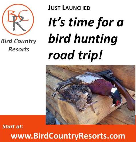 BirdCountry tweet picture