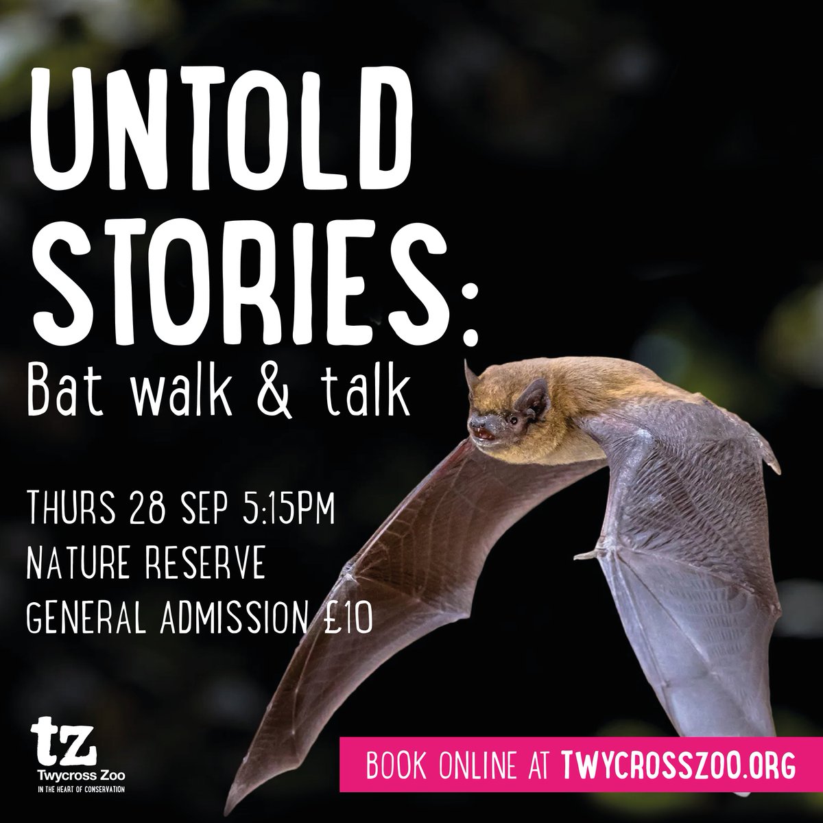 Our Bat Walk &amp; Talk is back!! 🦇

Join us after hours to discover our amazing native bat species and the threats they face...

📆 Thursday 28 September
⏰ From 5.15pm
⚠️ LIMITED AVAILABILITY - Book early to avoid missing out

Book now 👉 twycrosszoo.org/plan/whats-on

*T&amp;Cs apply