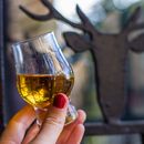 Fancy joining us for a tasting? 🥃

Join us for a journey of flavour. Led by our expert team, our tastings are tailor-made to take you thr...