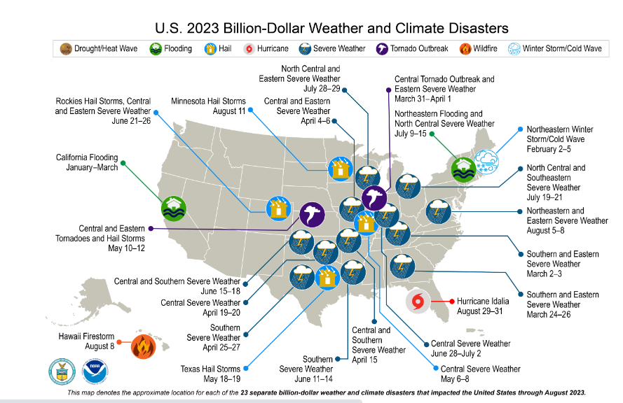 @borenbears tweet media