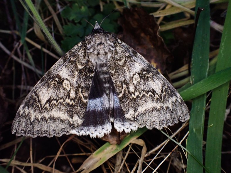 Katty Baird tweet media