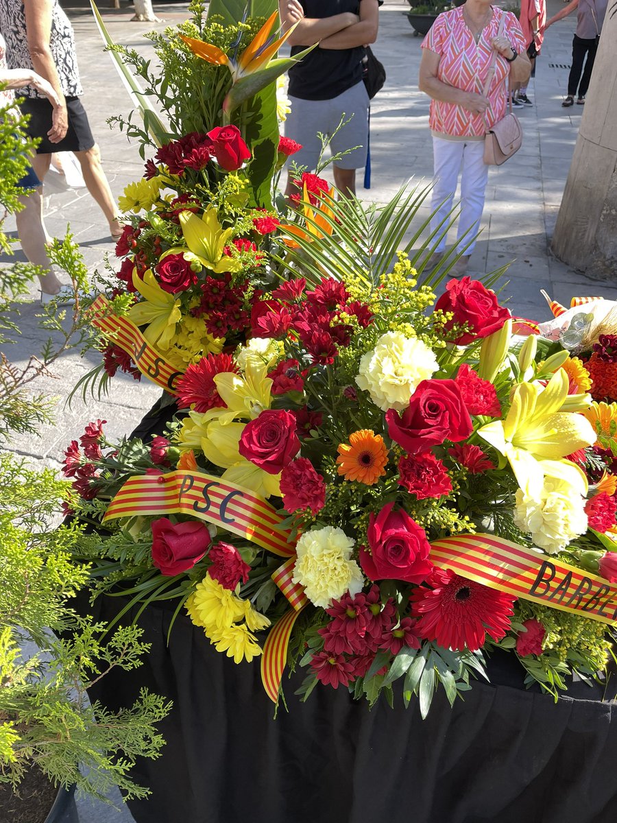 Celebrem a #barberàdelvallès la diada de Catalunya fent l’entrega floral.🌹
Molt bona diada a tothom!