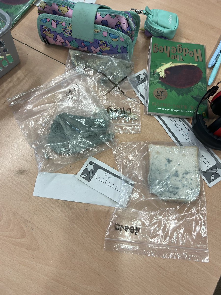 MrsDHealy's tweet photo. Primary 3 have been learning about food safety and hygiene. They took part in a bread experiment with clean and dirty hands. The children observed the bread over a week, here is our disgusting results 🤢 https://t.co/gvM16yvONA