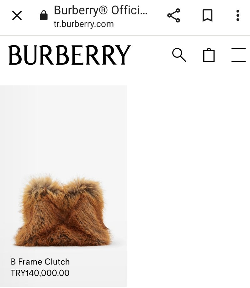 Wookiee kürkü müymüş?Tamam bizim para pul oldu ama  ingiliz asilzadesi bile vermez  3600 pound bu berbat şeye. Burberry iyi misin?