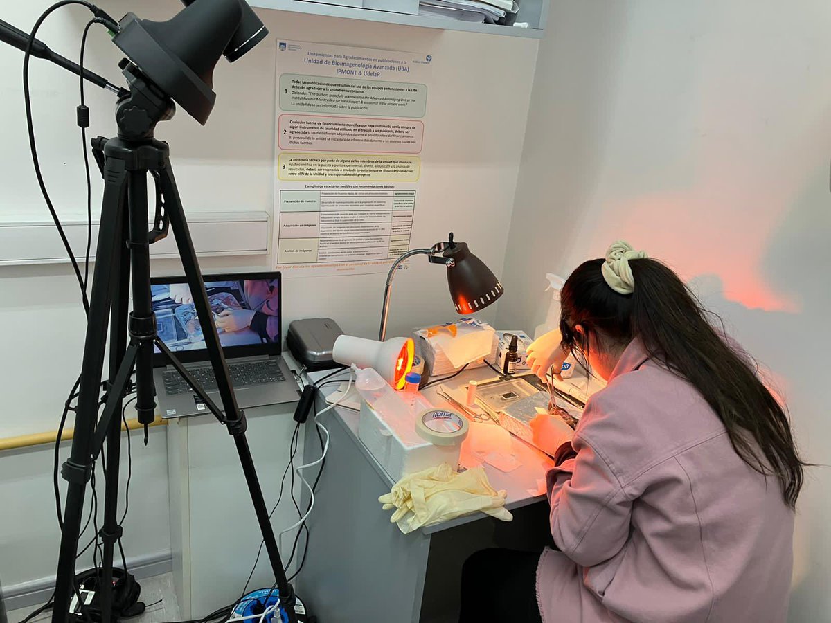 bioimagingbr's tweet photo. Thanks to @advanced_unit @MalacridaLab @ChanZuckerberg for the opportunity to collaborate and spread knowledge💚 https://t.co/8gJSWucOdY
