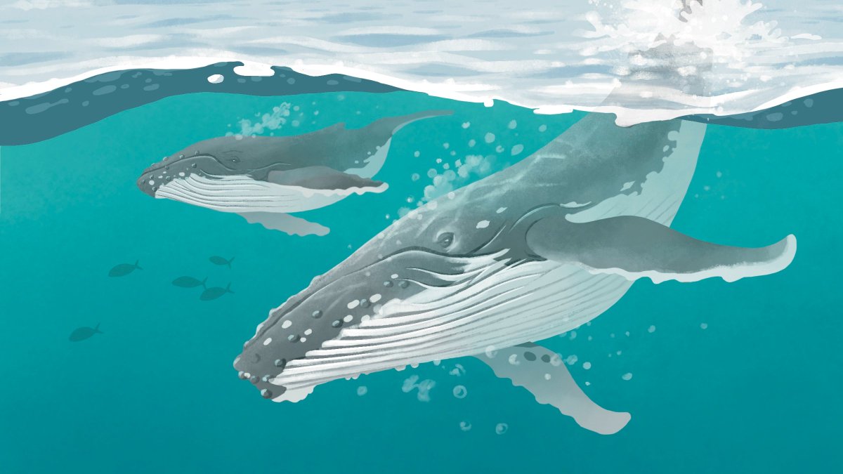 Fiona Martin tweet media