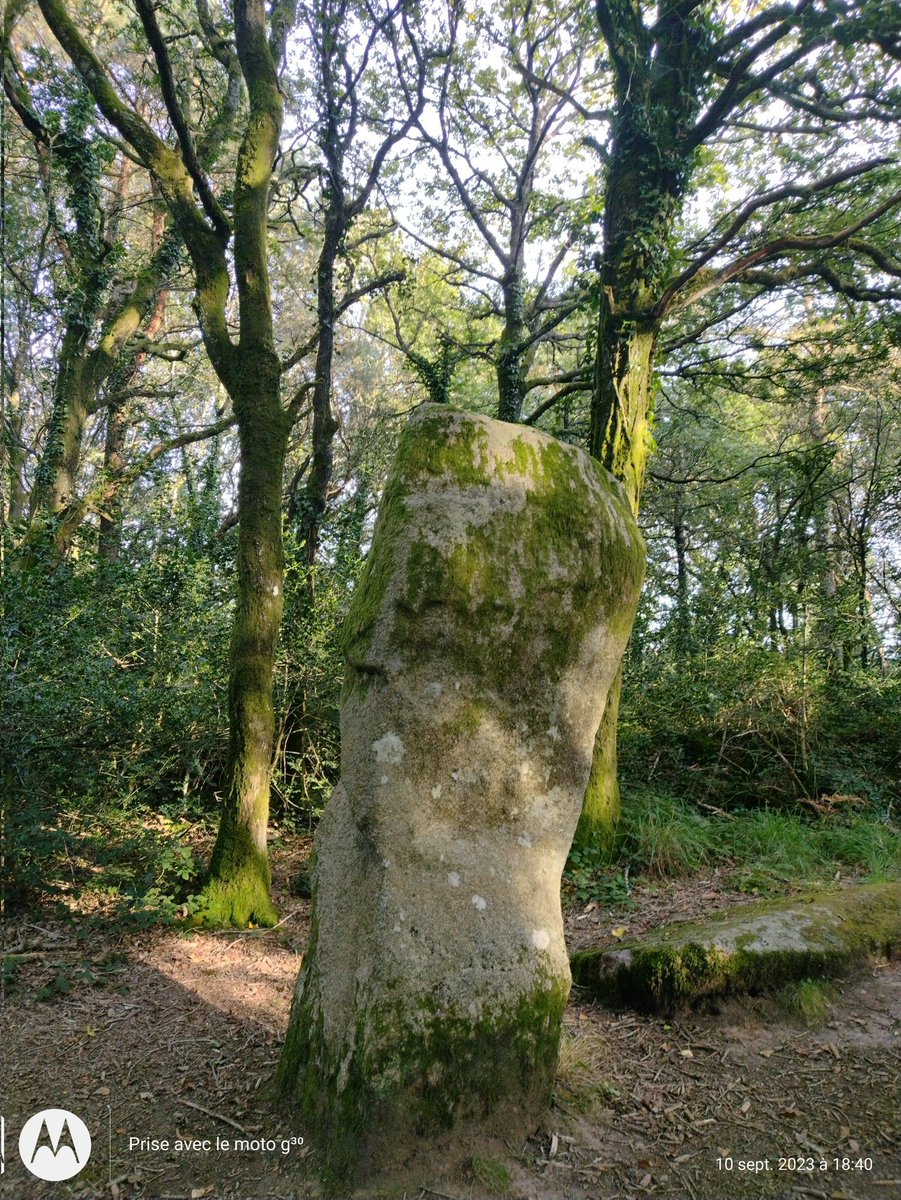 ThiChaplain's tweet photo. Un des #menhirs des #landes de #Locarn. https://t.co/ejeZf7muA5