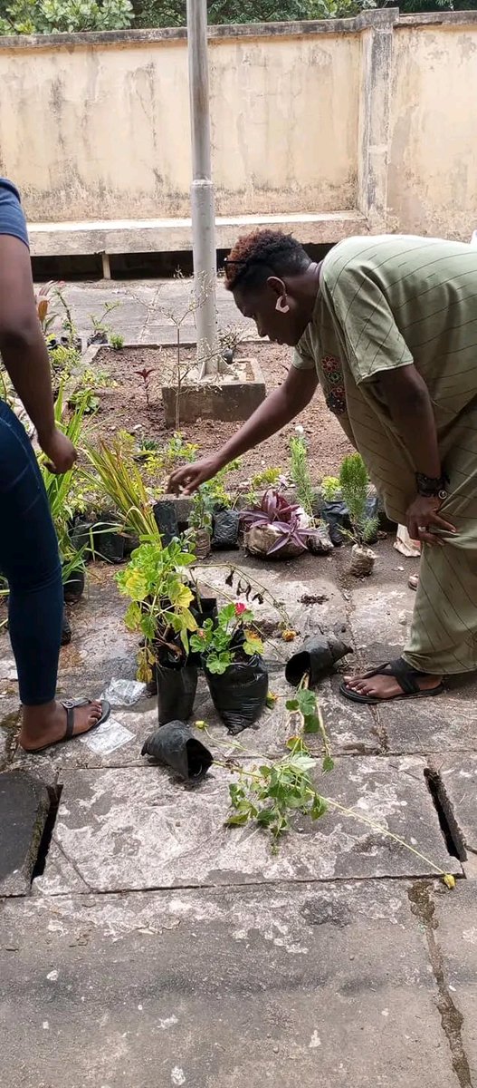 bce4allkids's tweet photo. Recap of Saturdays work at our reading garden project ...🌹💐 😊

Young people giving to service..⛏️⛏️⛏️

The joy on their faces, 😊even though it wasn't an easy work! 😅😊 👍

We were so glad to have @SamSemako join us while at work, we appreciate the visit sir! 🤗 💐 😀 https://t.co/WUKRwfxa2q