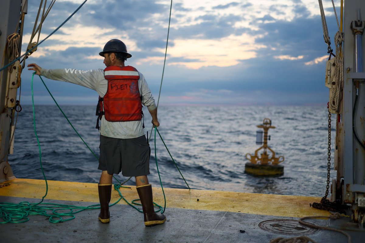 The global cargo fleet has doubled in the last 16 years– and whale & shark ship strikes mirror that trend. @unisouthampton researchers outline steps the world can take to prevent “ocean roadkill,” including #WHOI's acoustic buoys. Read more in @Nature: go.whoi.edu/nature-acousti…