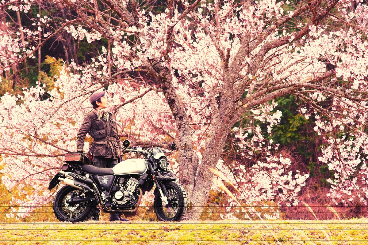 Azuraile_Eagle's tweet photo. 名前:あずらいる
住み:愛知
性別:♂
年齢:32
身長:184cm
愛車:NUDA900R・SEROW250・KLX230SM・OUTLAW125
趣味:ロンツー、写真、車、アニメ
一言:良かったら一緒にツーリング行きましょう😊
#バイク乗りと繋がりたい
#バイク乗りとして自己紹介
#NUDA900R #SEROW250 #KLX230SM #OUTLAW125 https://t.co/5mlXNrSOxj