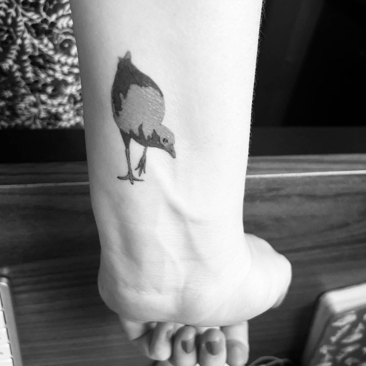 Carla du Toit tweet media