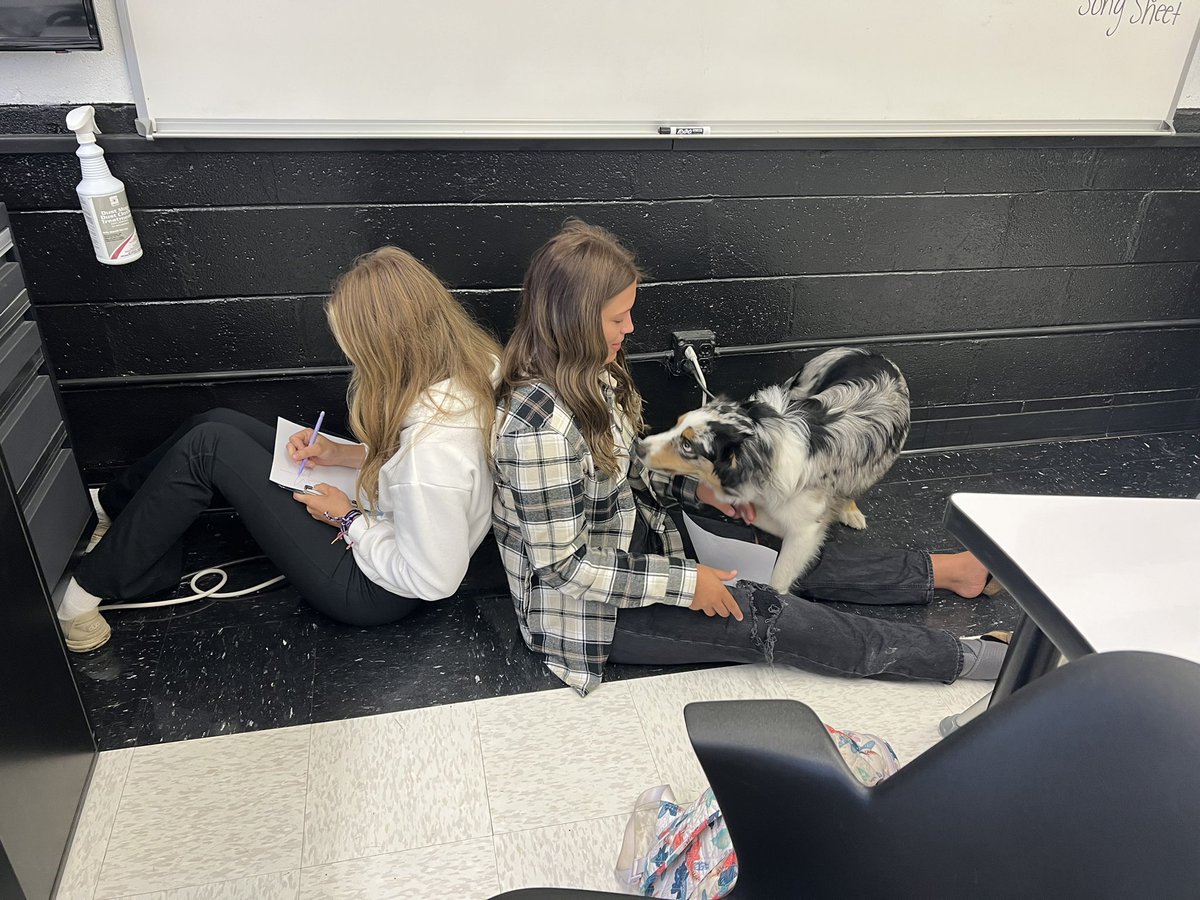 _ICAG_425's tweet photo. Ag Communication is learning how to use active listening to help themselves complete a partner drawing! https://t.co/kGsRoVD4U5