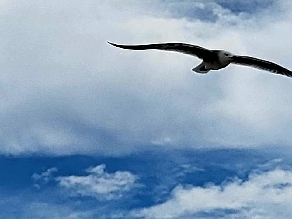 lunaarcanos (@lunaarcanos) on Twitter photo 