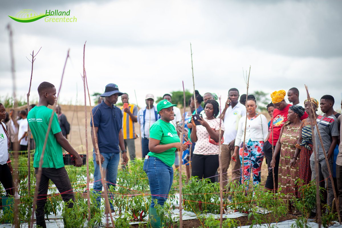 Holland Greentech Ghana tweet media