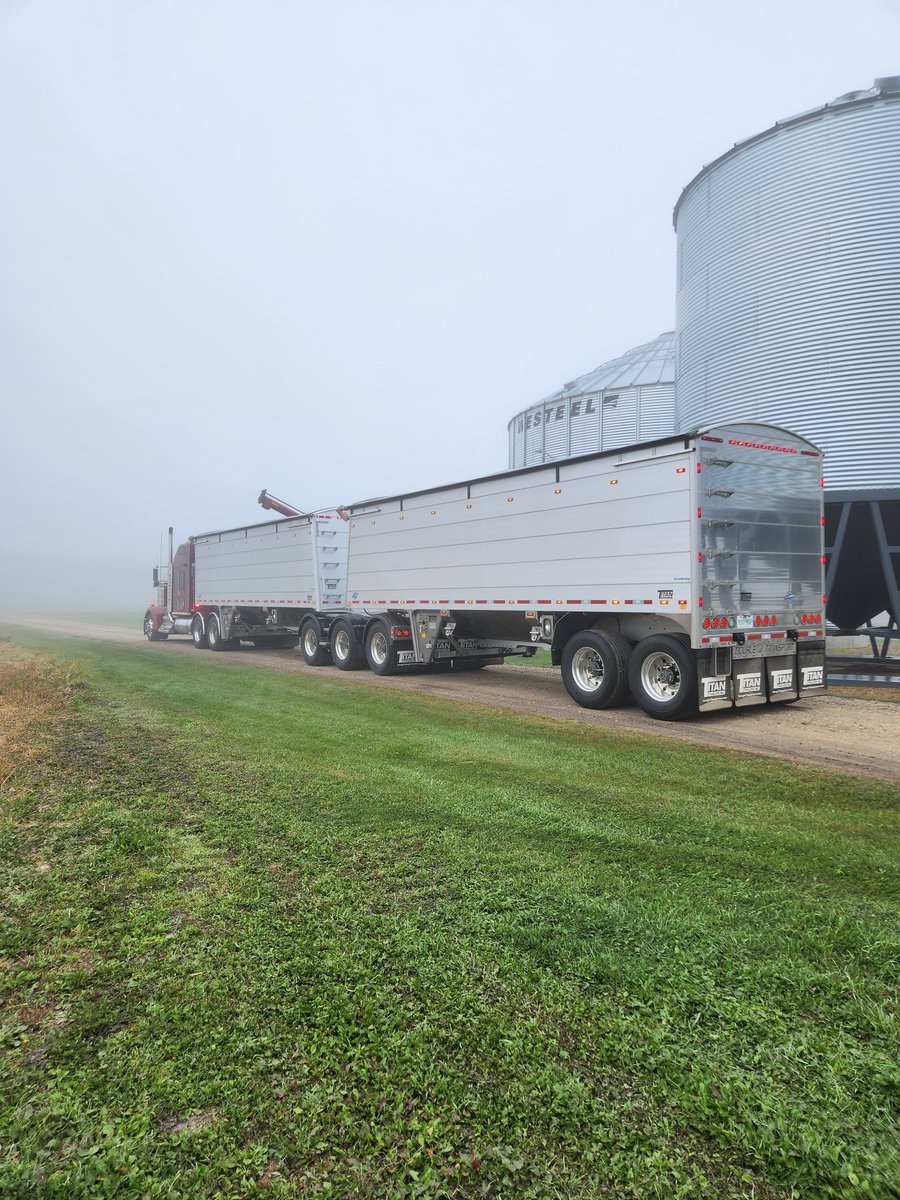 james_dyok's tweet image. Another wet cool foggy morning,might be an interesting winter
#titanthinwall
#titantrailers
#kwlargecar
#thankafarmerforyourfood