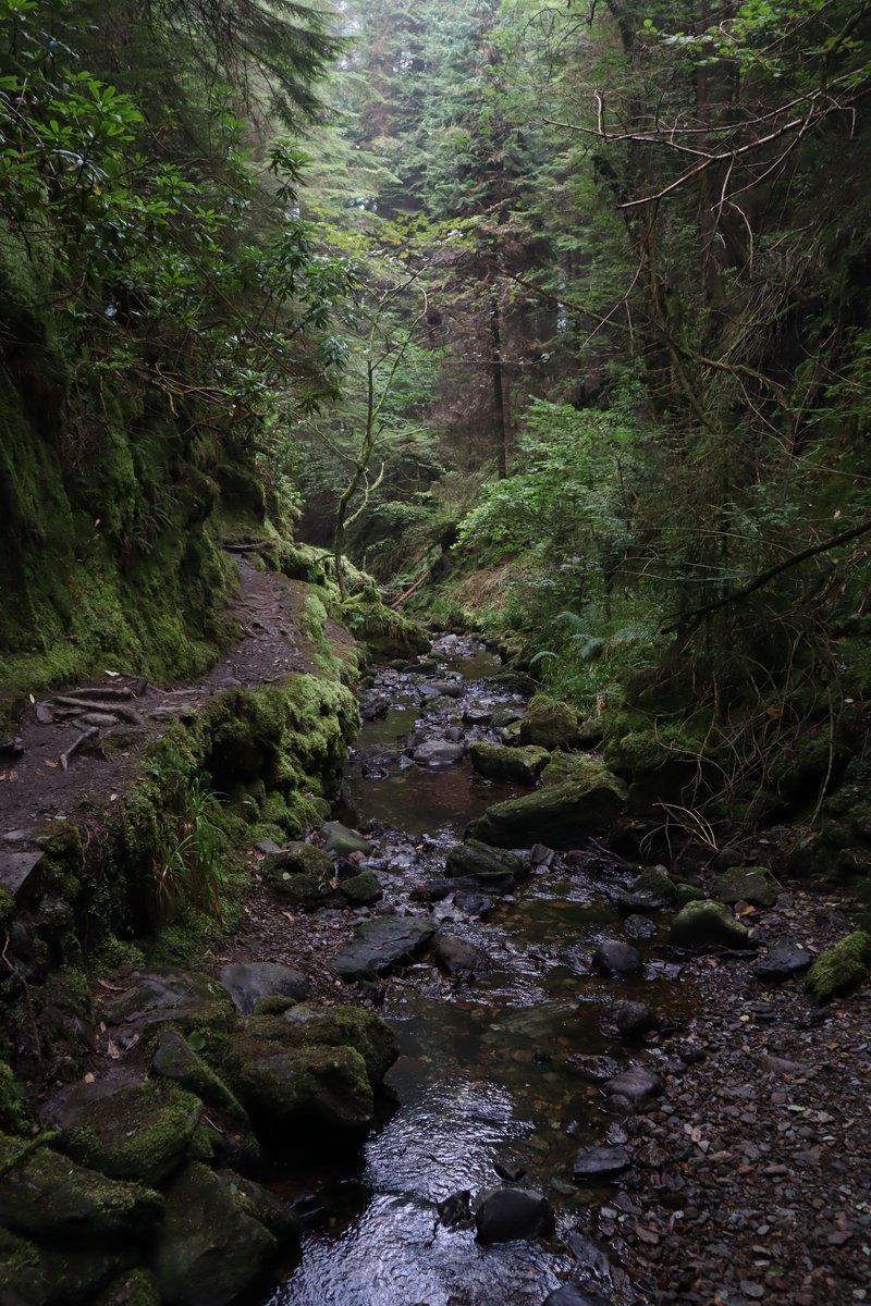BCG_CS's tweet image. Last Monday I was lucky enough to get married to my wonderful partner, and had an amazing week exploring a small portion of the Scottish west coast.