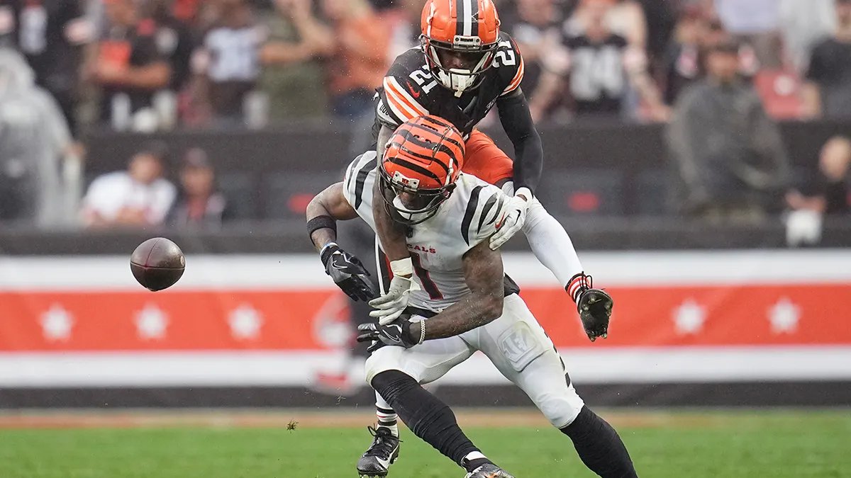 Matthew Peterson tweet media