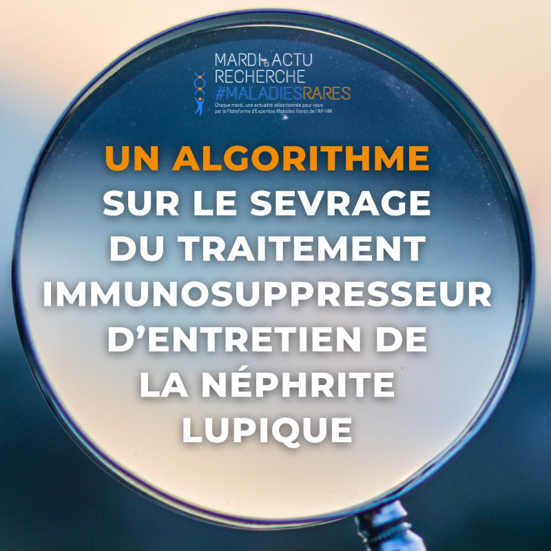 aphm_actu's tweet photo. #MARDIACTU #RECHERCHE #MALADIESRARES 👨‍🔬 Un algorithme sur le sevrage du traitement immunosuppresseur d’entretien de la néphrite lupique.

@com_SFNDT @jolupus81 @FranceRein @FiliereORKiD @contactfai2r @AllianceMR @marmara_amu