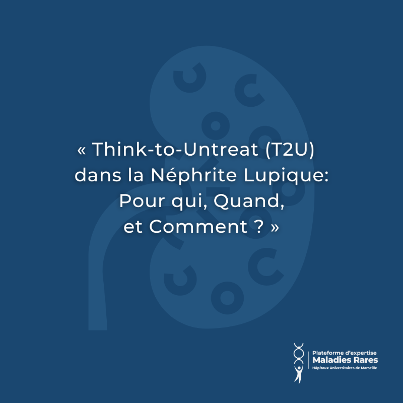 aphm_actu's tweet photo. #MARDIACTU #RECHERCHE #MALADIESRARES 👨‍🔬 Un algorithme sur le sevrage du traitement immunosuppresseur d’entretien de la néphrite lupique.

@com_SFNDT @jolupus81 @FranceRein @FiliereORKiD @contactfai2r @AllianceMR @marmara_amu