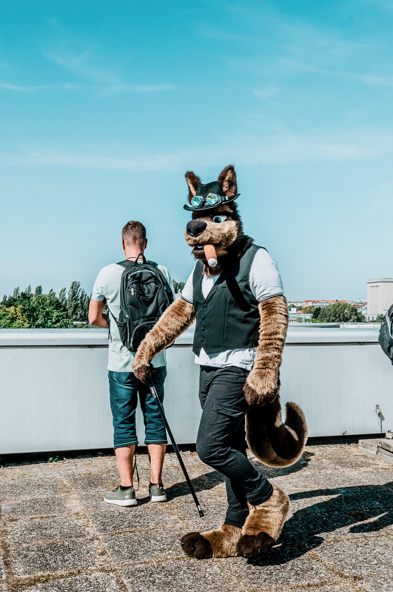 ChrisTud0r's tweet photo. Bonus photos with wolf on the terrace :) https://t.co/DsJgvgtw5b