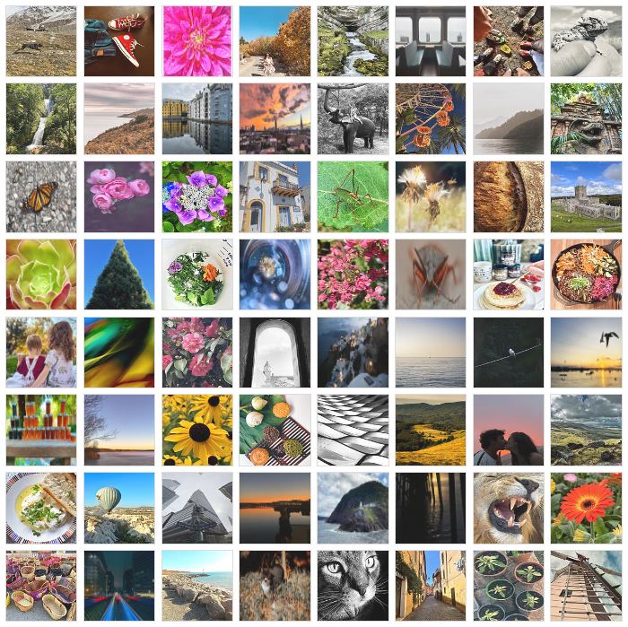 Stockimo tweet media