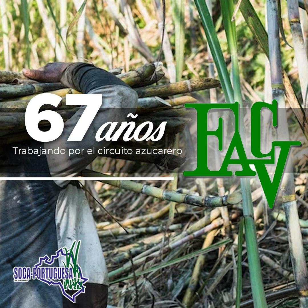 Nuestra federación base cumple hoy sus 67 años. Desde sus inicios hasta la actualidad, continuan defendiendo los intereses y necesidades de todos los productores de caña de azúcar. 

<a href="/fesoca2/">FESOCA</a> es la voz de nuestro sector y todos los cañicultores que continúan apostando al campo.