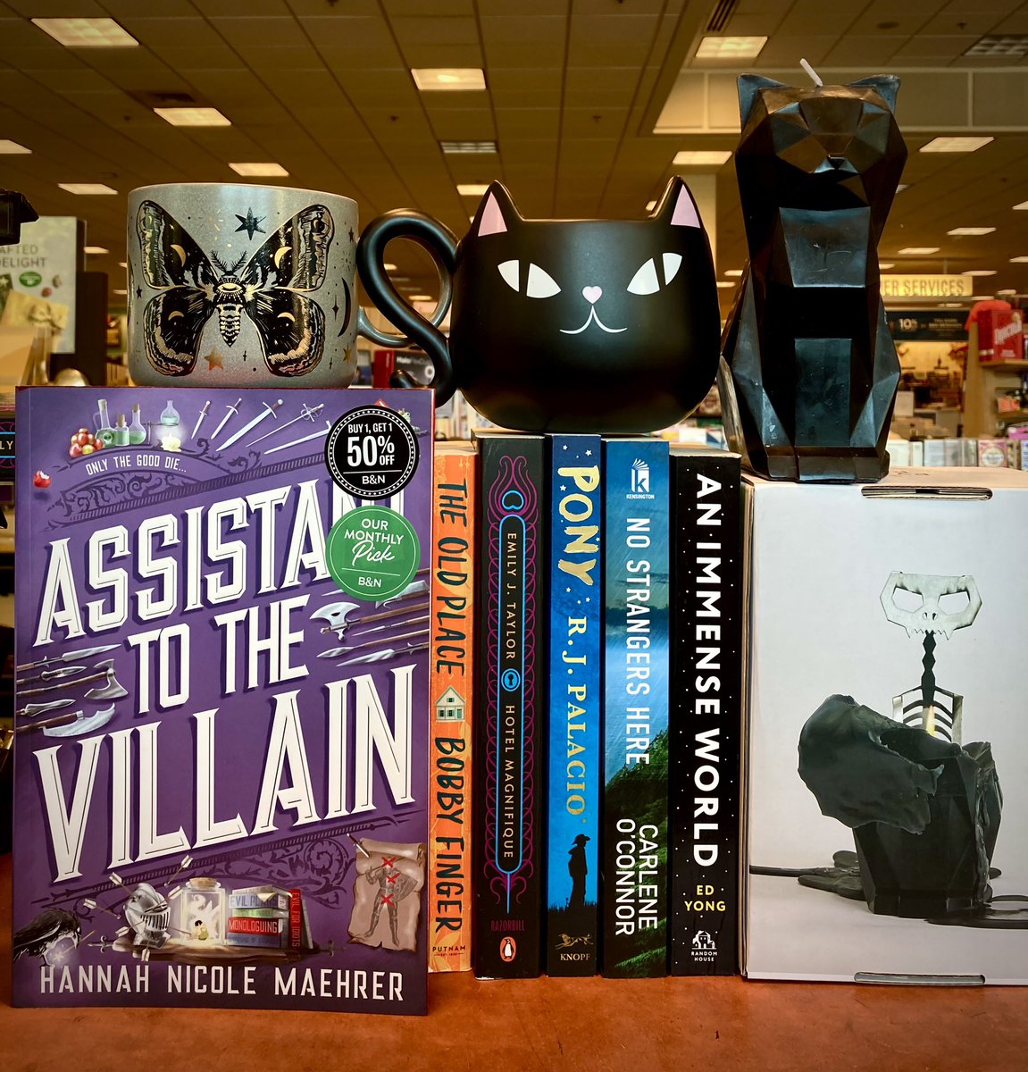 The Villain is HIRING! Check out this fun flirty fantasy tale just the vibe for Halloween 🎃👠🎃#assistanttothevillain #bookofthemonth #mustread #romancebooks #fantasybooks